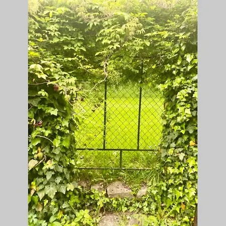 Bellevue Wörthersee - Vierbeiner Herzlich Willkommen - Privater Seezugang Apartment Toschling