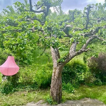 Bellevue Woerthersee - Privater Seezugang, Hunde Auch Herzlich Willkommen (adults Only) * Toschling