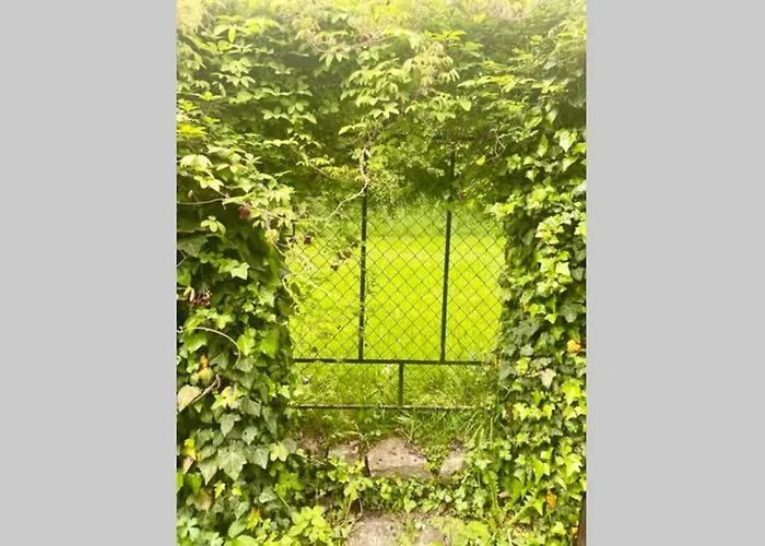 Bellevue Woerthersee - Privater Seezugang, Hunde Auch Herzlich Willkommen (adults Only) Апартаменты Toschling