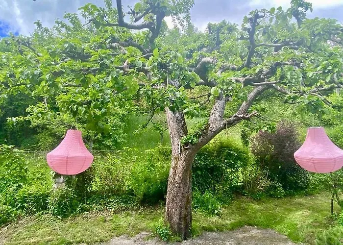 Bellevue Woerthersee - Privater Seezugang, Hunde Auch Herzlich Willkommen (adults Only) * Toschling